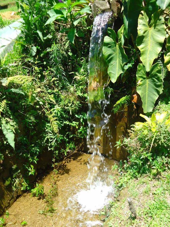 Chale Truta Da Floresta Visconde De Maua Kültér fotó
